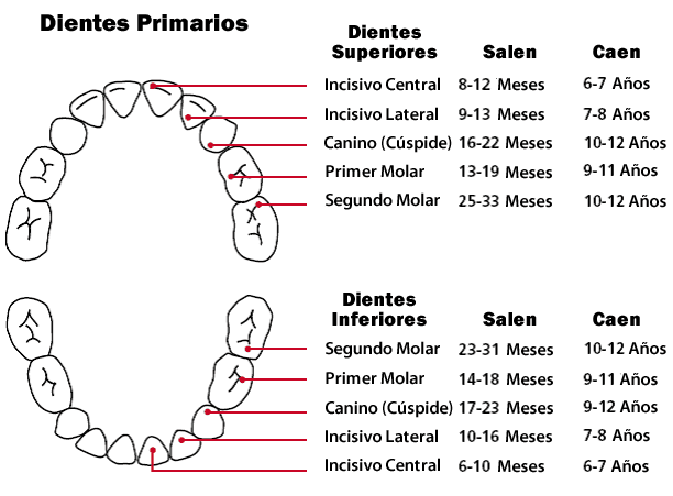 Como aliviar el dolor de dientes en bebes