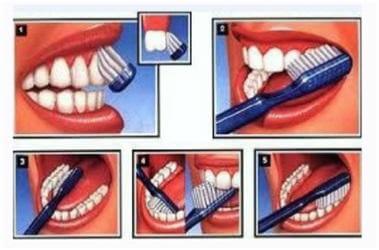 Un Cepillado Divertido: Trucos, Consejos E Ideas | Blog | Dentilandia