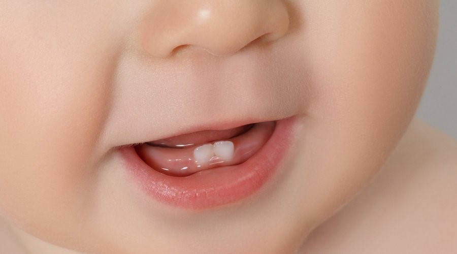 erupción dientes de leche